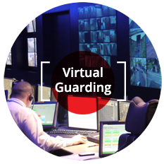 Virtual Guarding