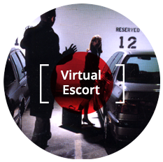 Virtual Escort